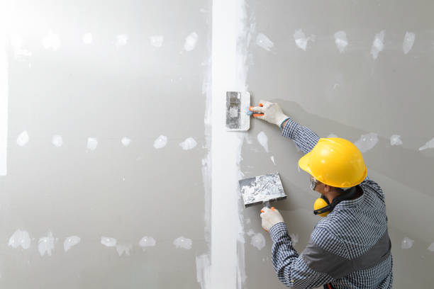 Trusted Grambling, LA Mold Removal Experts